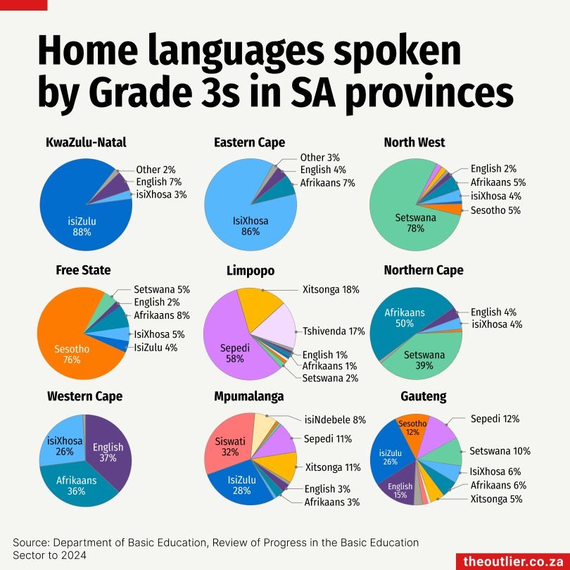 Home languages infographic