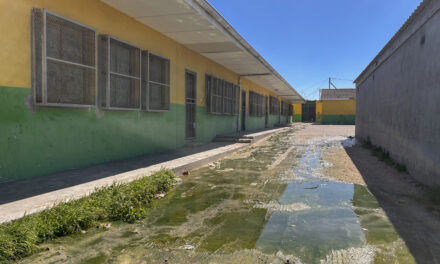 Disruptive primary school sewage seepage exposes service delivery failures in Khayelitsha