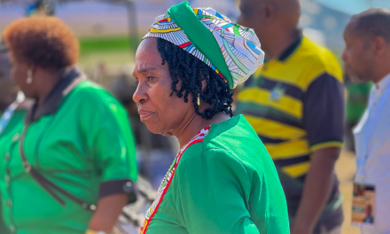 Mpumalanga’s ‘vague’ reply to faulty schools trashed